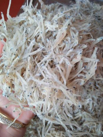 CÁ MỜM KHÔ SẠCH