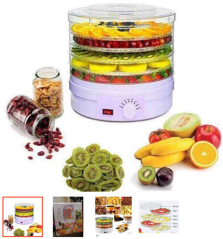 máy sấy hoa quả
