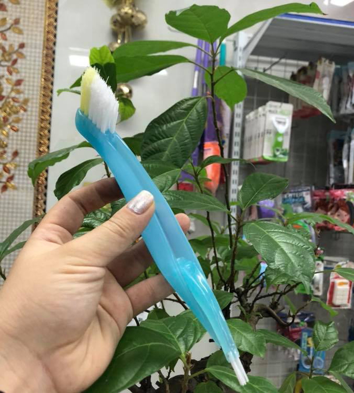 BẢN CHẢI CỌ KHE 
